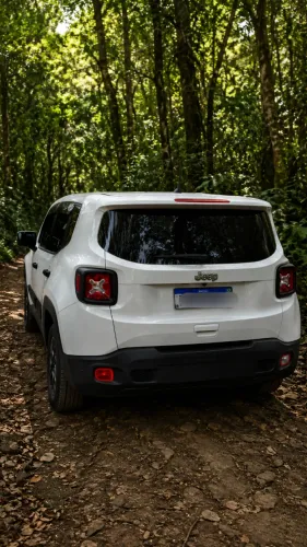 Jeep Renegade 1.8 4X2 Flex 16V Aut. 2020