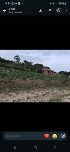 Linda Chácara