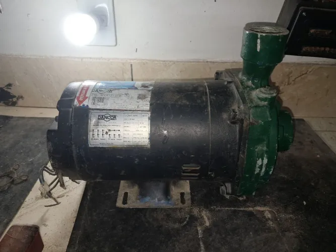 Motor de Indução- Trifásico 3cv