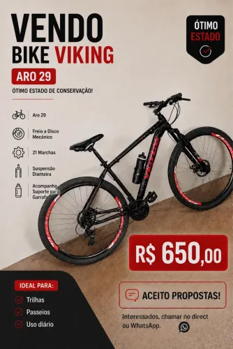 Bike voice 29