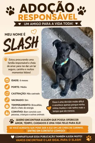 Doação