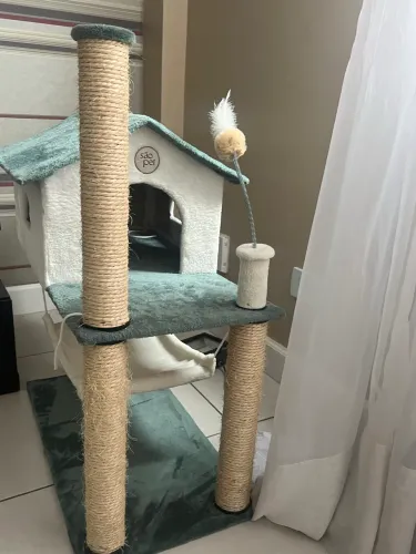 CASA DE GATO E CAIXA DE AREIA