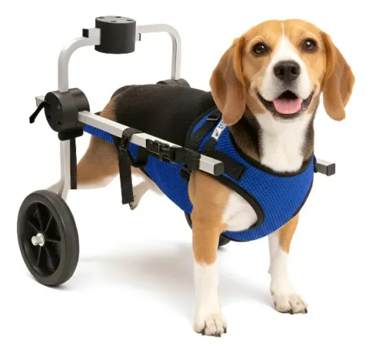 Cadeira 2 rodas cachorro  roupa traseira deficiente cor azul Tamanho M