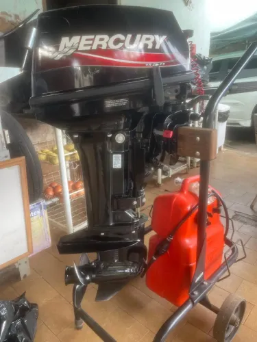motor mercury 15