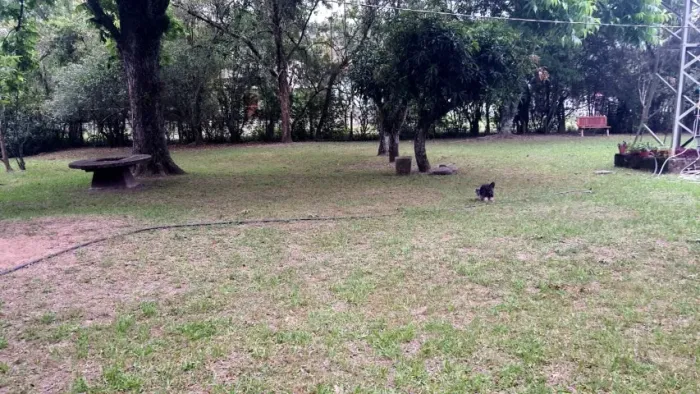 Chacrinha com 2550 m² em Porto Batista, Triunfo .