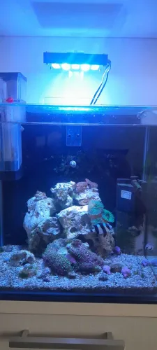 Vendo aquário nano reef completo