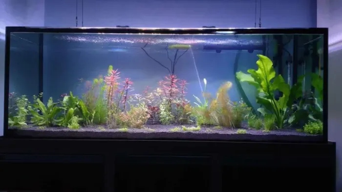 Aquário Gigante 412 Litros com Móvel e Acessórios - 1,50m