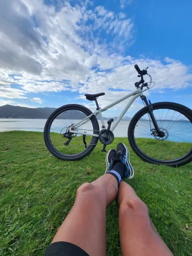 Bike freio a disco revisada