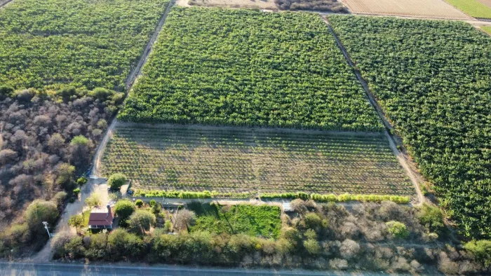 Lote Agricola Projeto Pontal Petrolina PE