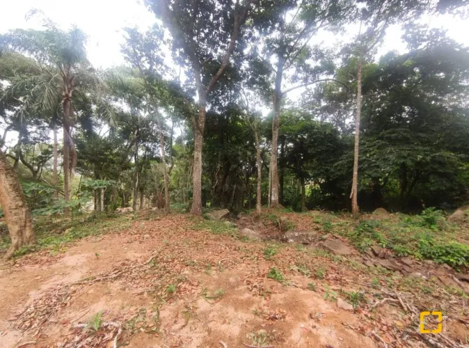 TERRENO ,CHACARA