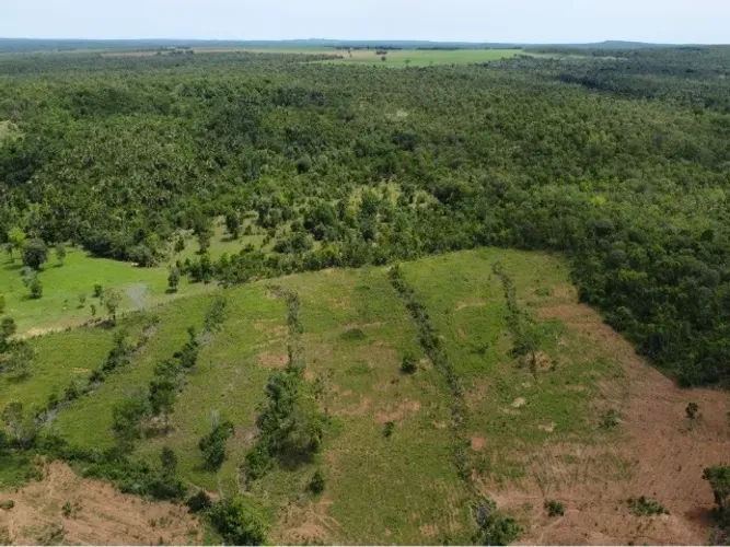 Vendo fazenda próximo a Palmas TO