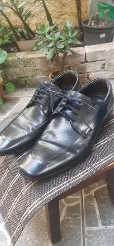 Sapato Democrata n°41