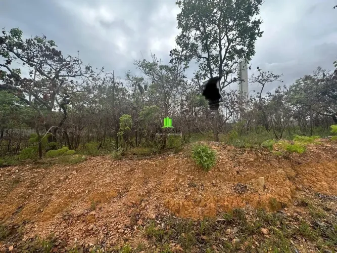 Lotes em Condomínio em Mariposas.