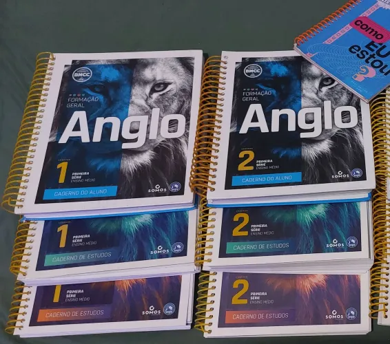 Livros e cadernos de exercícios ANGLO 1° Série do ENSINO MÉDIO