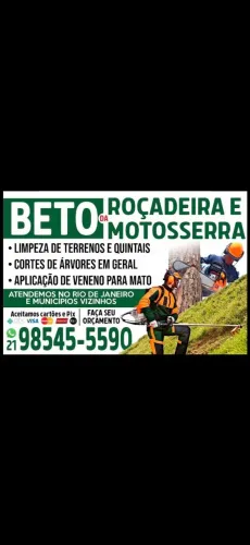 Limpeza de terreno e Quintais e cortes de árvores em geral 