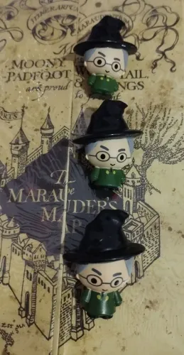 Gogos Harry Potter - Minerva Cacau Show
