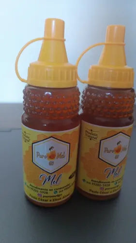 Mel Flor de Aroeira Bisnaga 300 G