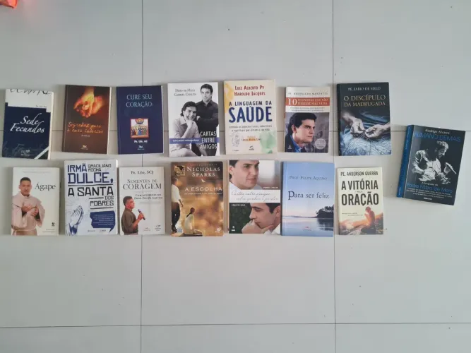 Livros católicos de diversos autores e temas - Ótima oportunidade!