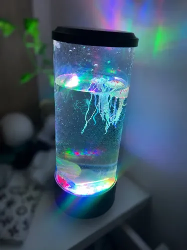 Luminária e Aquário Água Viva