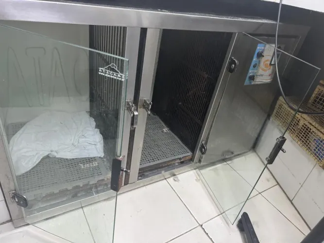 Máquina de secar cães e gatos
