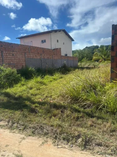 Terreno 10x25