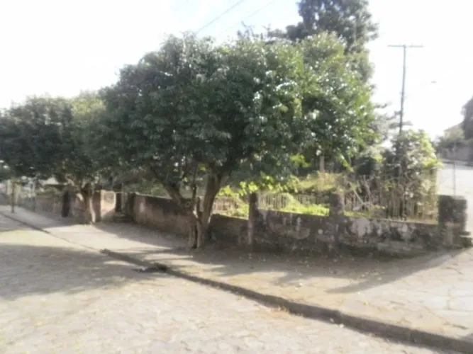 CAXIAS DO SUL - Terreno Padrão - RIO BRANCO