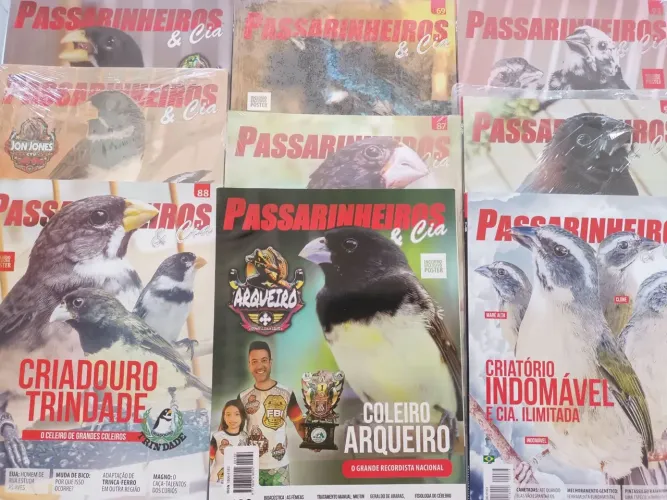 Revista Passarinheiros para criadores e amantes da Ornitologia