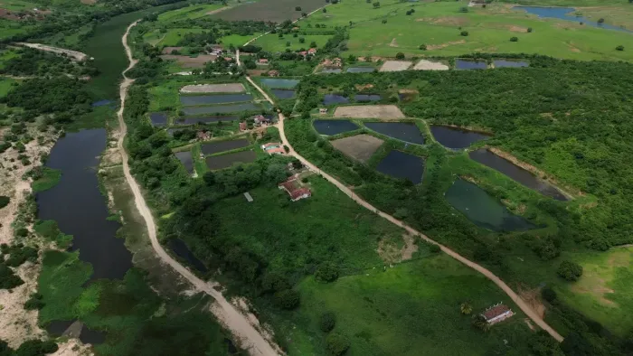 Fazenda 40ha em Pilar/PB | 10 Viveiros de Camarão | Beira Rio Paraíba