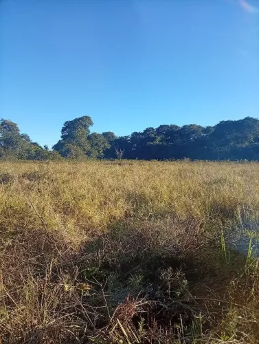 Chácara a venda em Campos Belos GO/ 10 Km da cidade apenas 5 Km de estrada de chão.