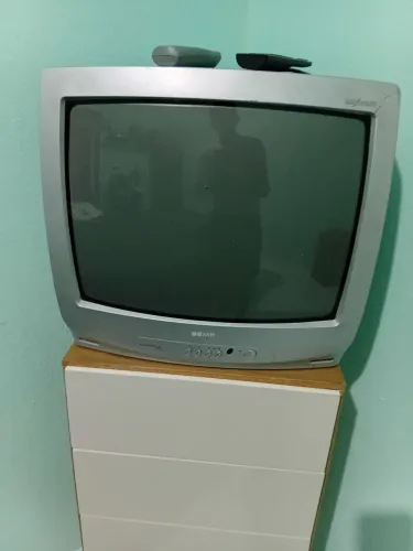 Televisão
