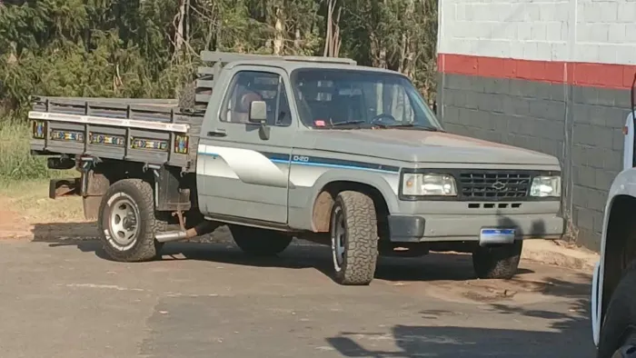 Chevrolet D-20