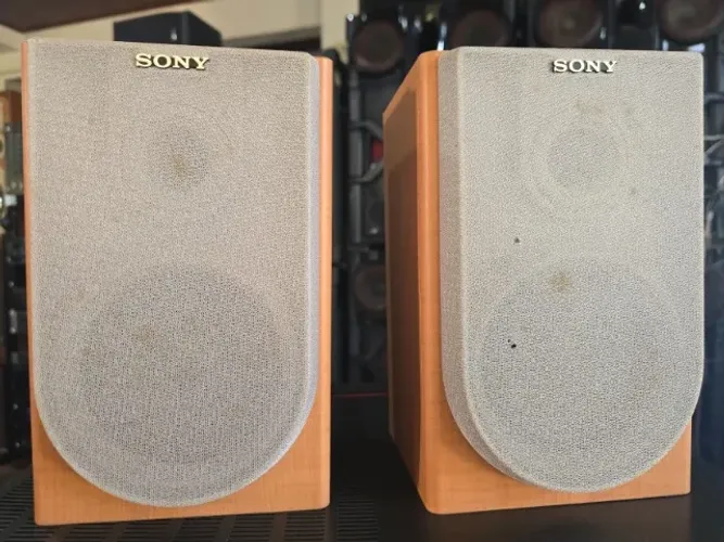 2 Caixas Sony SS-cne3