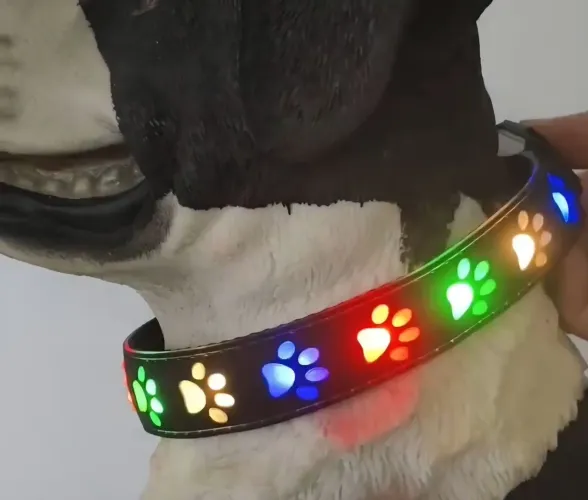 COLEIRA DE LED PARA CÃES