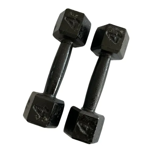 Par de halter de ferro 4kg