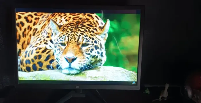 Monitor led L2F