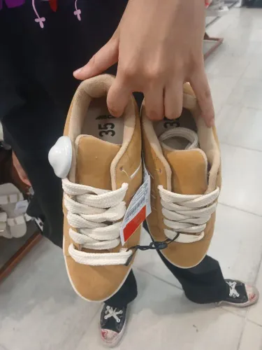Tenis