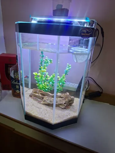 Vendo aquário completo