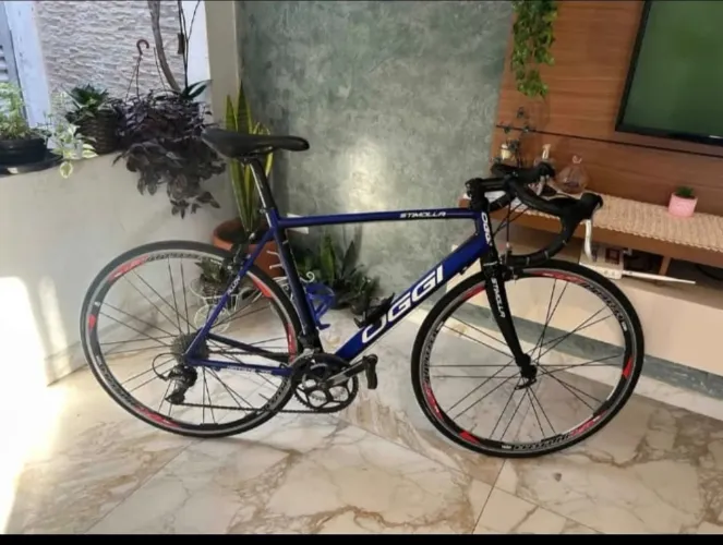 Bike speed Oggi stimolla TAM 54