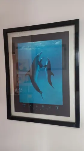 Quadro golfinho