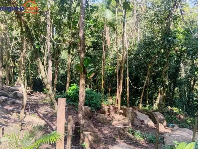 Terreno à venda, 600 m² por R$ 45.000 - Águas do Inga - Ubatuba/SP