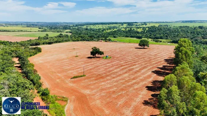 Chácara à Venda em Morrinhos  GO | 10 Alqueires | Rica em Água