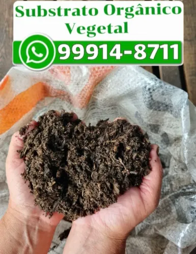 Substrato Orgânico Vegetal 
