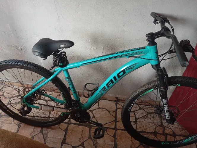 Bicicleta Raio aro 29