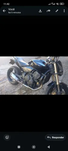 Hornet 2012
