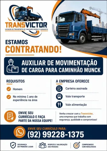 Auxiliar de movimentação de carga