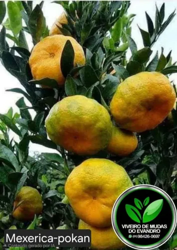 Vendo mudas de frutas,hortas, medicinais,adubos orgânicos, terra preta adubada, 