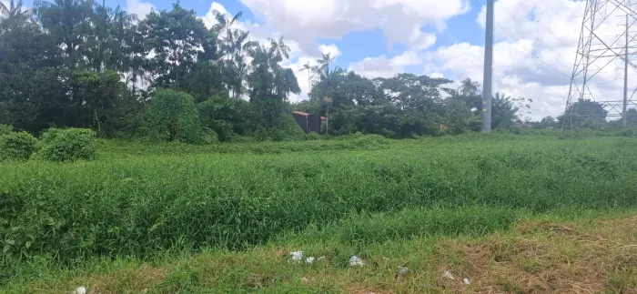 Iimpeza de terrenos grandes a partir de mil reais