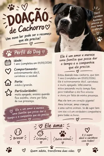 Doação de dog