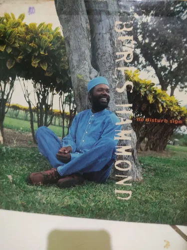 Disco de reggae