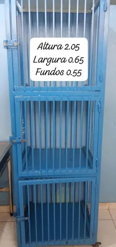 Canil